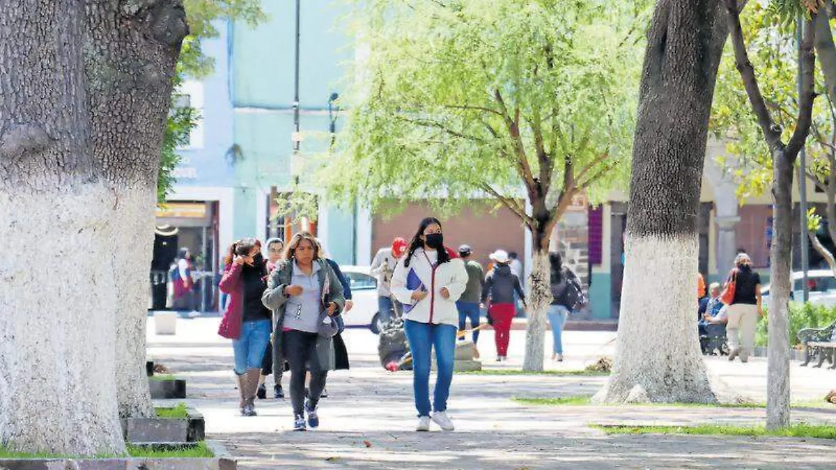 Personas, parque, calle, covid